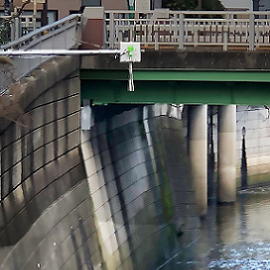 【市街地河川】