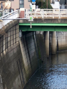 【河川の水位計測】
